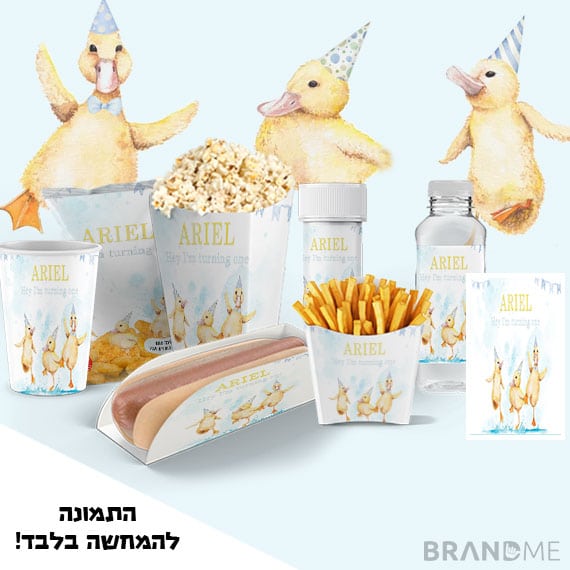 עיצוב יום הולדת בנושא ברווזים ווינטג'